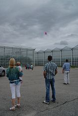 Ballonen oplaten 4